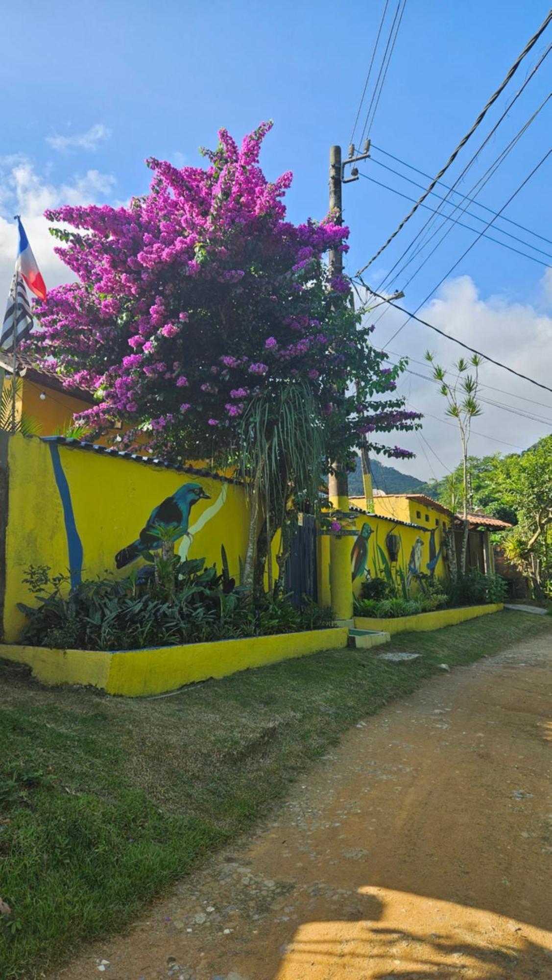 Casa Dos Franceses Ilha Grande Villa Ngoại thất bức ảnh