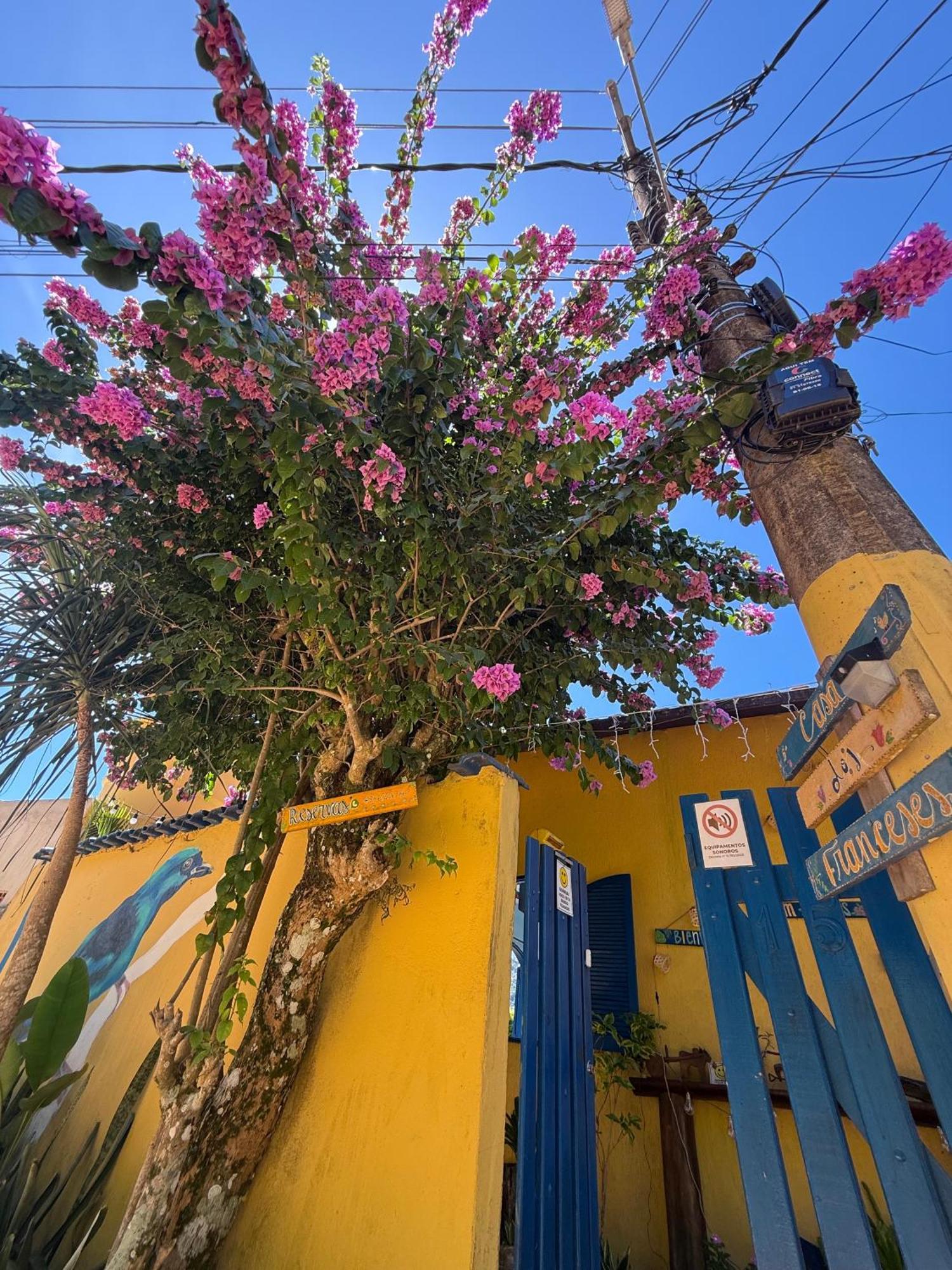 Casa Dos Franceses Ilha Grande Villa Ngoại thất bức ảnh